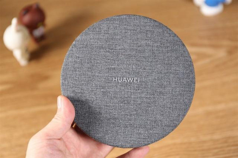 HUAWEI Back-up Review